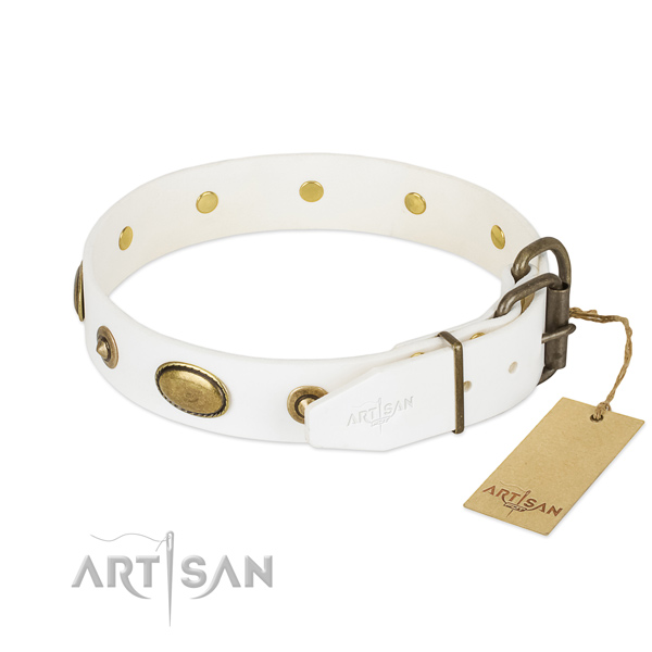 Corrosion resistant traditional buckle on natural leather dog collar for your four-legged friend