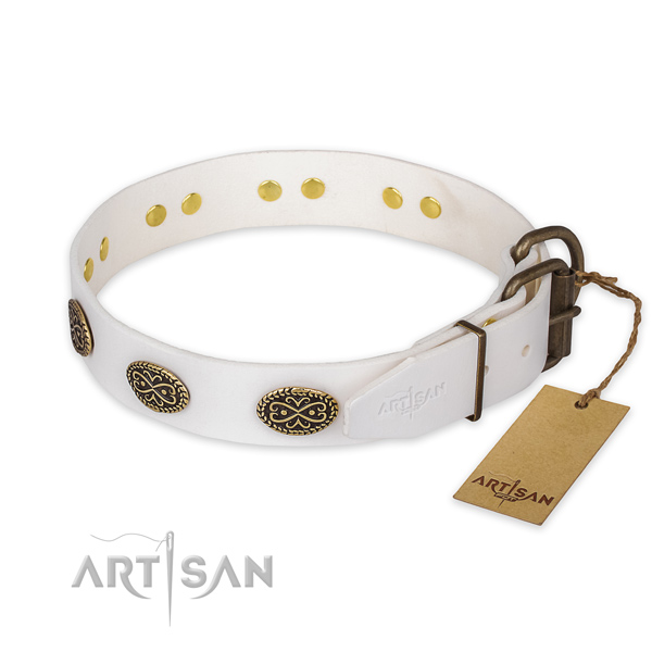 Rust resistant buckle on full grain leather collar for stylish walking your doggie