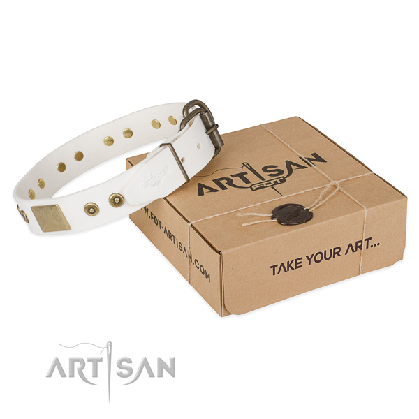 Remarkable full grain leather collar for your stylish four-legged friend