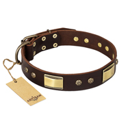 "Rich Fashion" FDT Artisan Decorated Leather Boxer Collar with Plates and Studs