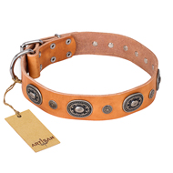 "Twinkle Twinkle" FDT Artisan Incredible Studded Tan Leather Boxer Collar