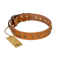 "Autumn Story" FDT Artisan Leather Boxer Collar with Old Bronze Look Studs