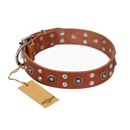"Silver Elegance" FDT Artisan Decorated Leather Boxer Collar with Old Silver-Like Plated Studs and Cones