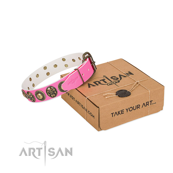 Corrosion resistant D-ring on dog collar for stylish walking