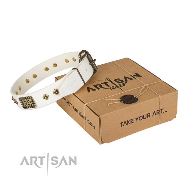 Amazing leather collar for your beautiful four-legged friend