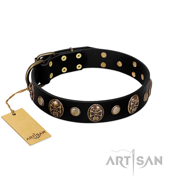 Full grain genuine leather dog collar with durable adornments