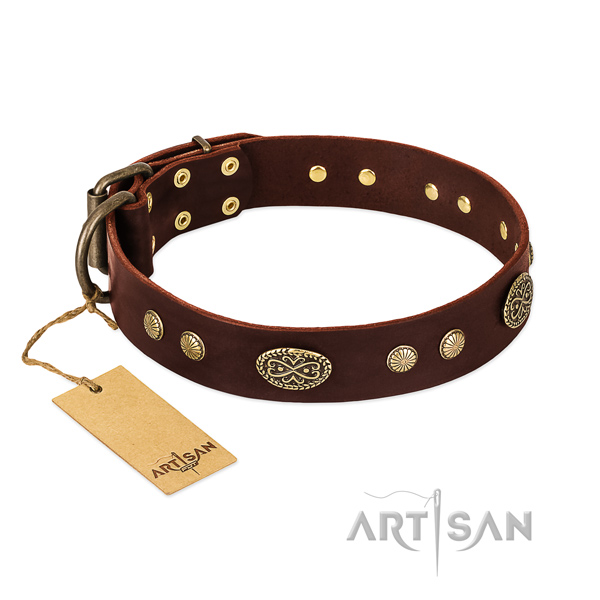 Rust resistant studs on full grain natural leather dog collar for your pet