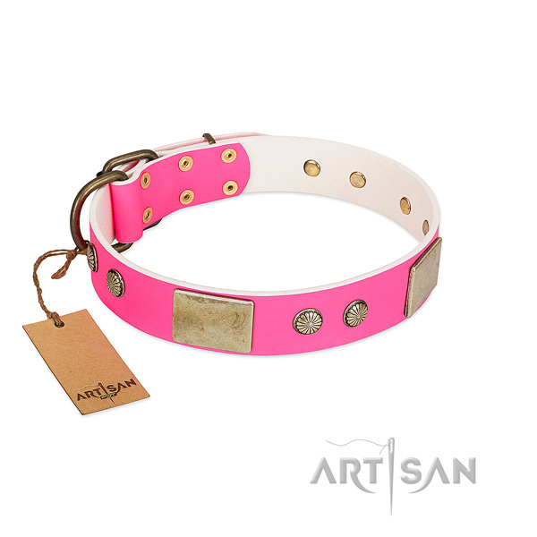 Easy wearing full grain leather dog collar for walking your doggie