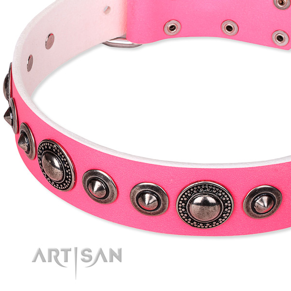 Everyday use embellished dog collar of durable full grain genuine leather