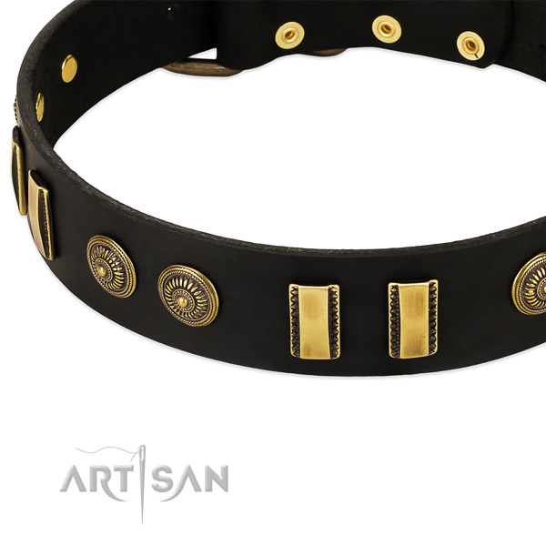 Reliable embellishments on full grain leather dog collar for your doggie