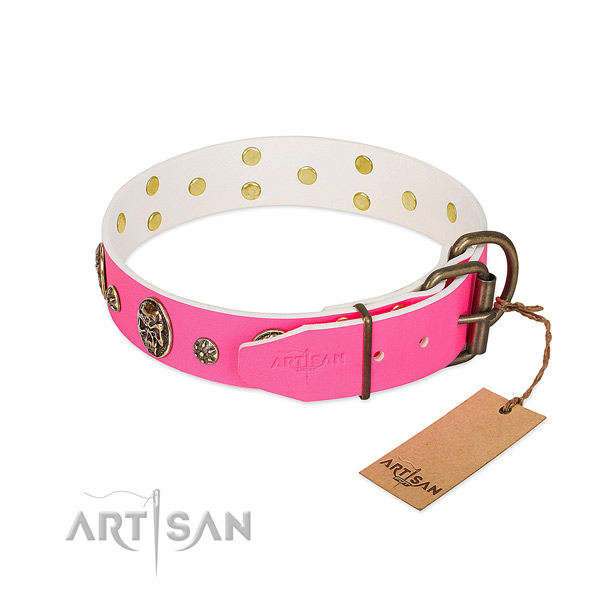 Corrosion proof buckle on full grain natural leather collar for stylish walking your doggie