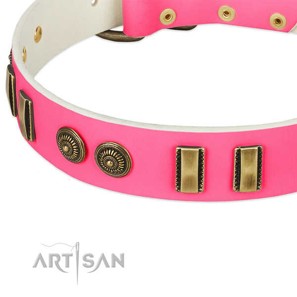 Durable traditional buckle on leather dog collar for your pet