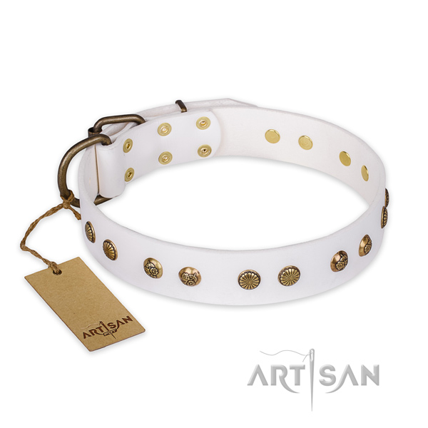 Convenient natural genuine leather dog collar with strong traditional buckle