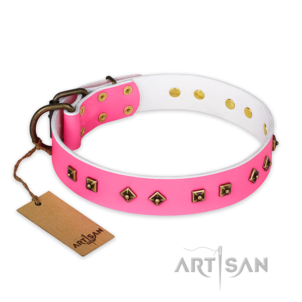 Fashionable leather dog collar with durable D-ring