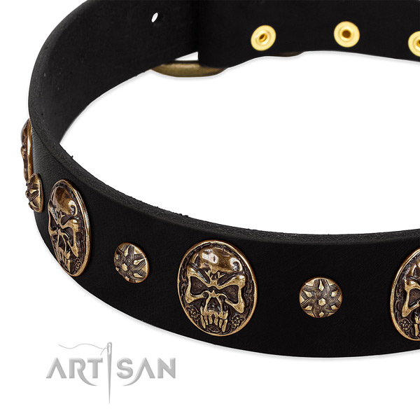 Corrosion resistant embellishments on full grain leather dog collar for your dog