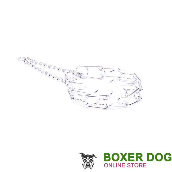 Chrome plated steel dog prong collar for poorly behaved dogs