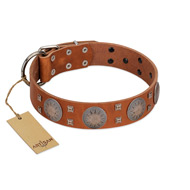 "Sun Rise Noon" FDT Artisan Tan Leather Boxer Collar with Unique Design