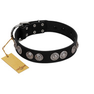 "Magic Amulete" Handcrafted FDT Artisan Black Leather Boxer Collar with Chrome-Plated Shields