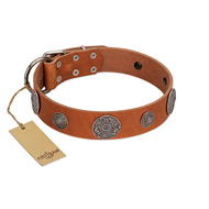 "Foxy Nature" FDT Artisan Tan Leather Boxer Collar with Chrome Plated Brooches