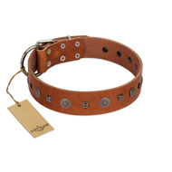 "Sweet Caramel" Designer FDT Artisan Tan Leather Boxer Collar