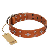 "Tawny Beauty" FDT Artisan Tan Leather Boxer Collar Adorned with Stars and Tiny Squares