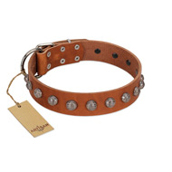 "Heroic Deeds" Designer Handmade FDT Artisan Tan Leather Boxer Collar