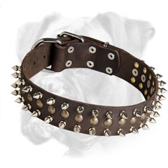 Fashionable Leather Boxer Collar for Walking