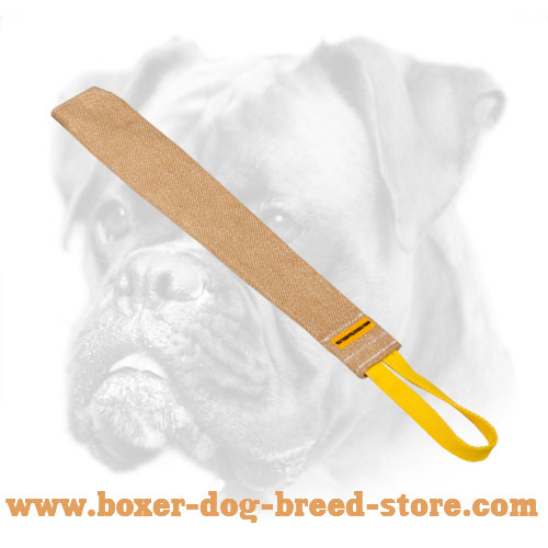 Boxer Puppy Soft Bite Rag For Training with a Small Loop
