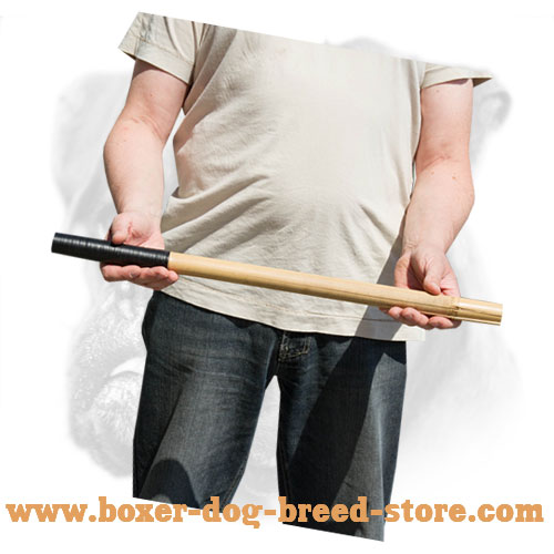 Training Bamboo Dog Stick