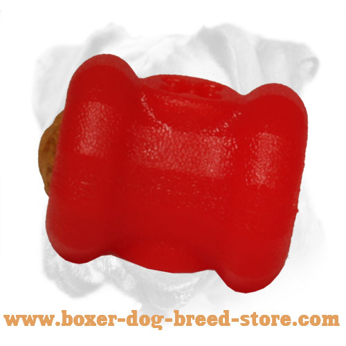 Durable Boxer Toy for Interactive Playing