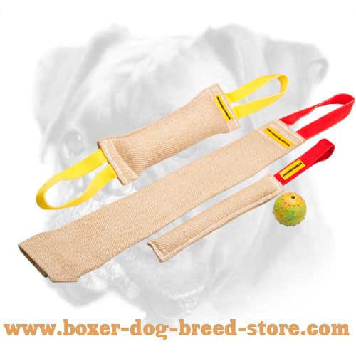 Puppy Boxer Bite Tug for Easy Training