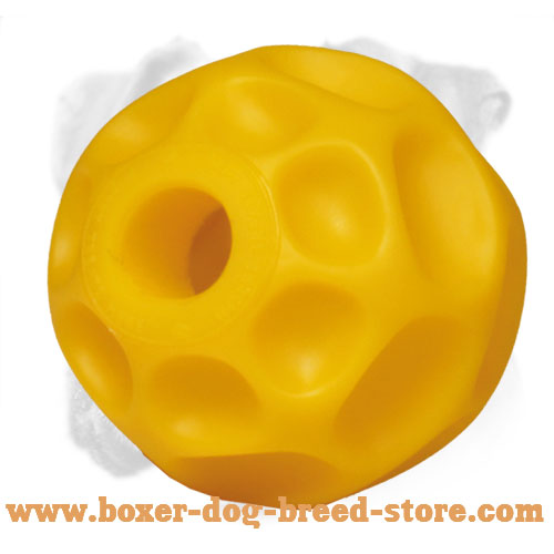Best Boxer Tetraflex Treat Holder