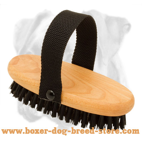 Effective Dog Grooming with Bristle Brush