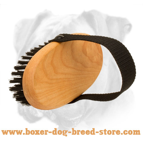 All-Coat Types Bristle Brush