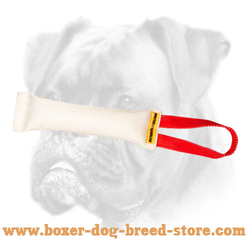 Boxer Puppy Soft Bite Tug For Training