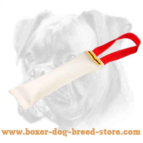 Boxer Puppy Bite Tug With a Comfy Handle