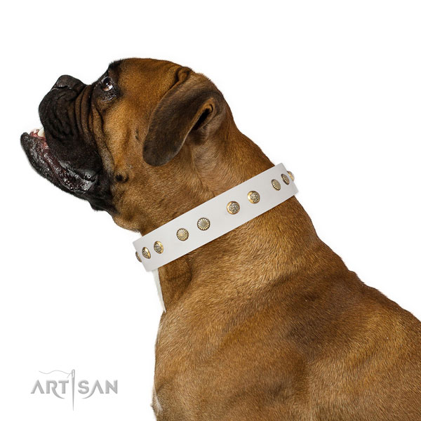 Stunning adornments on handy use full grain natural leather dog collar
