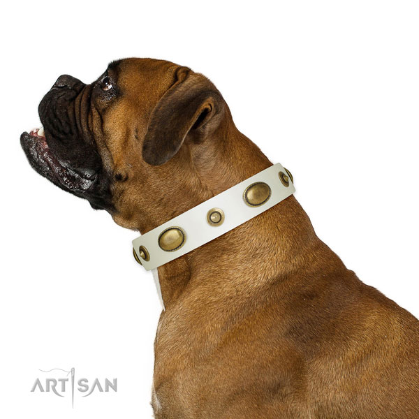 Daily walking dog collar of leather with inimitable adornments