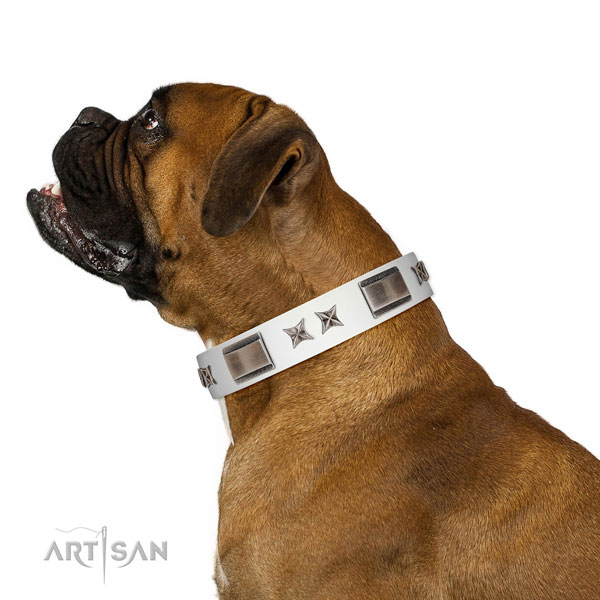 Unusual collar of natural leather for your attractive four-legged friend