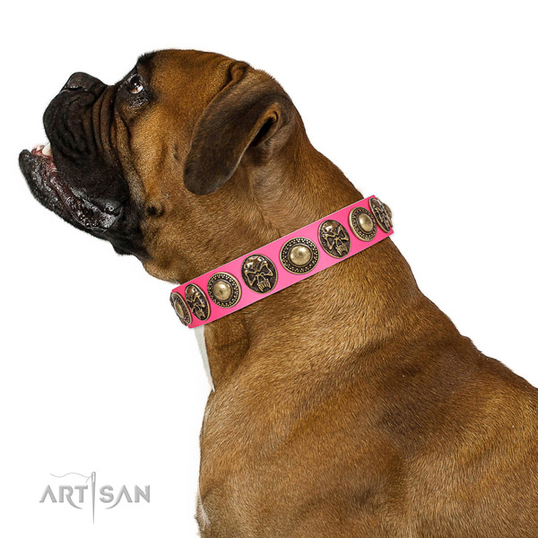 Stylish genuine leather collar for your impressive pet