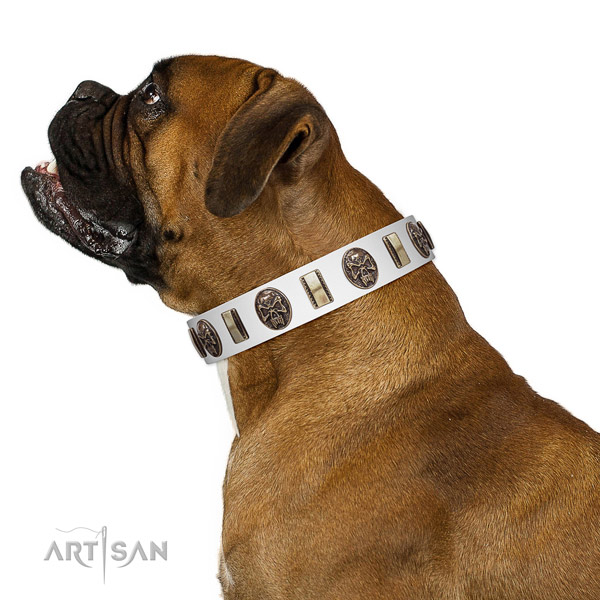 Leather dog collar with inimitable adornments