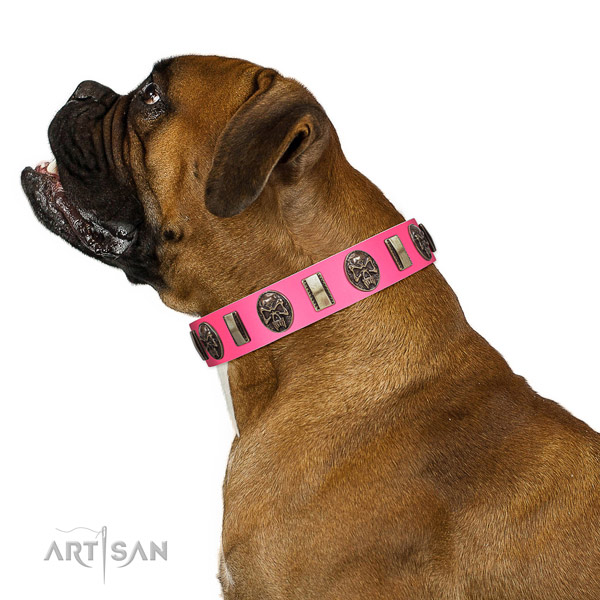 Rust resistant fittings on leather dog collar for walking