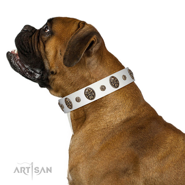 Comfortable wearing dog collar of natural leather with exceptional decorations