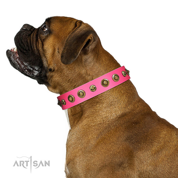 Amazing natural leather dog collar with studs