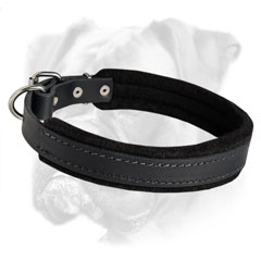 Leather collar at a reasonable price