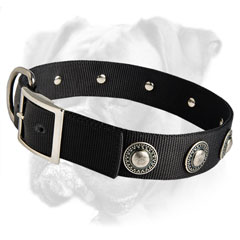 Handmade nylon collar for your Boxer