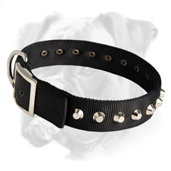 Trendy nylon collar