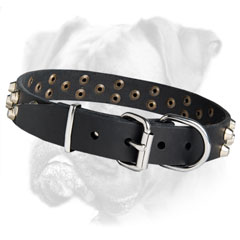 Bright Boxer leather Collar