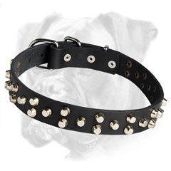 Gorgeous Boxer Leather Collar