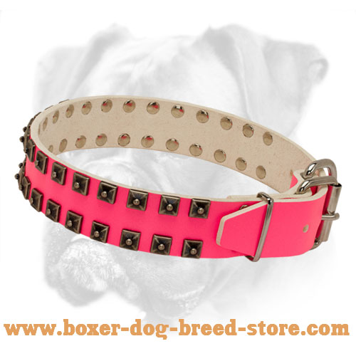 Royal Quality Pink Leather Boxer 【Collar】 for Walking and Training